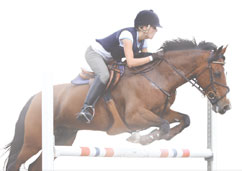 Unlock Your Horses Potential