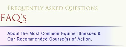 FAQ's about the most common equine illnesses & our recommended course(s) of action.