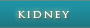 Kidney Cleanse Detox
