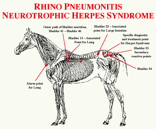 Rhino_Pneumontis_Neurotrophic_Herpes_Acupucture